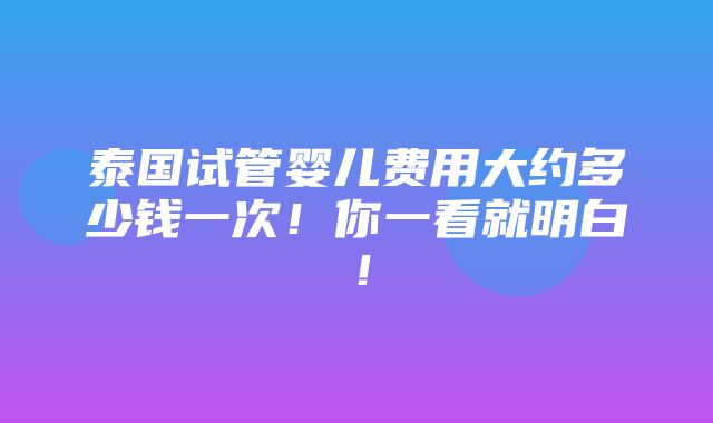 泰国试管婴儿费用大约多少钱一次！你一看就明白！