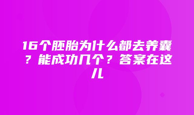 16个胚胎为什么都去养囊？能成功几个？答案在这儿