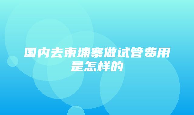 国内去柬埔寨做试管费用是怎样的