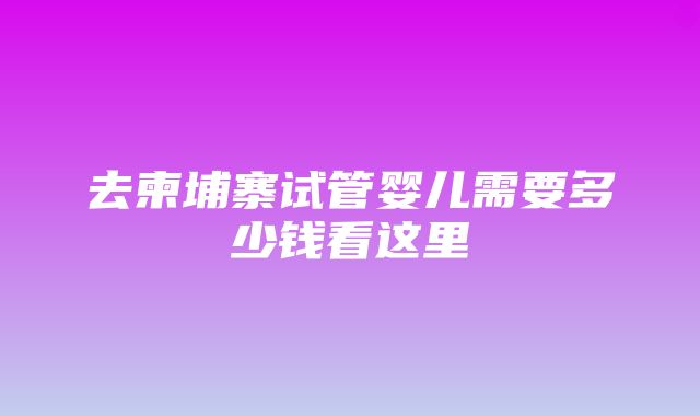 去柬埔寨试管婴儿需要多少钱看这里