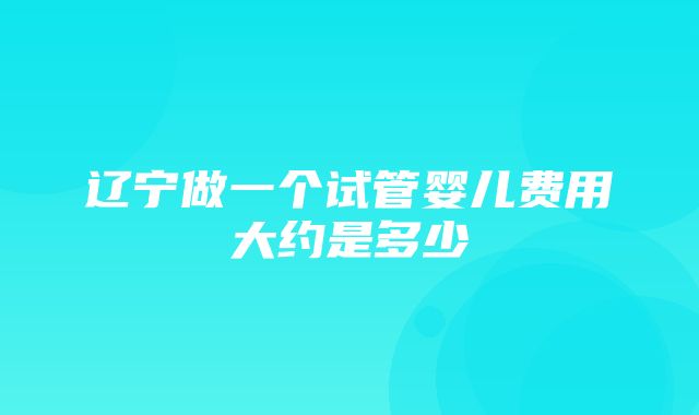 辽宁做一个试管婴儿费用大约是多少