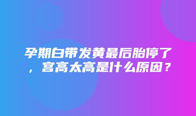 孕期白带发黄最后胎停了，宫高太高是什么原因？