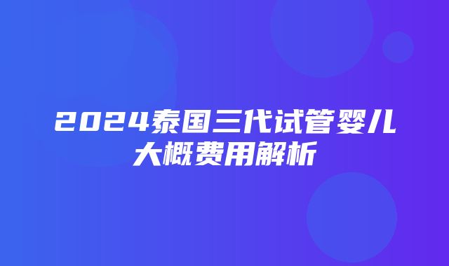 2024泰国三代试管婴儿大概费用解析