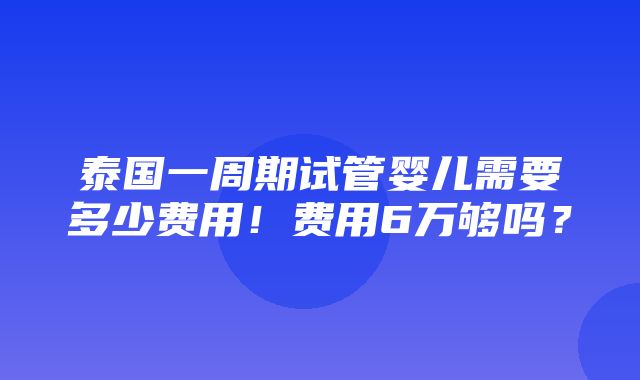 泰国一周期试管婴儿需要多少费用！费用6万够吗？