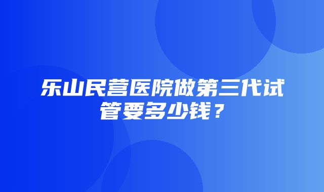 乐山民营医院做第三代试管要多少钱？