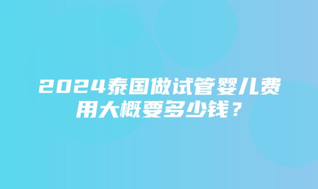 2024泰国做试管婴儿费用大概要多少钱？