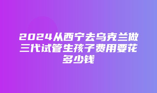 2024从西宁去乌克兰做三代试管生孩子费用要花多少钱