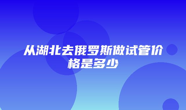 从湖北去俄罗斯做试管价格是多少