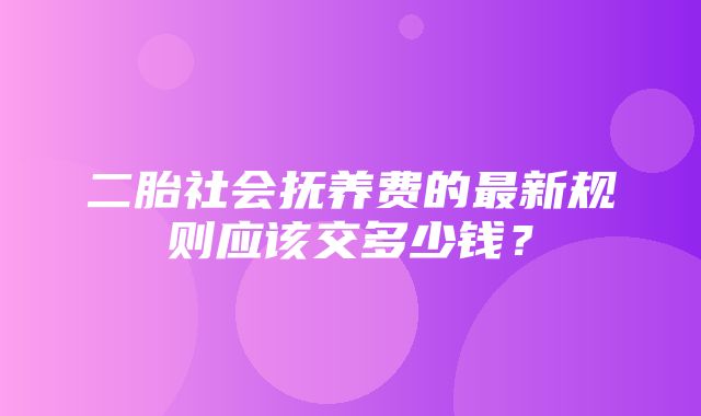 二胎社会抚养费的最新规则应该交多少钱？