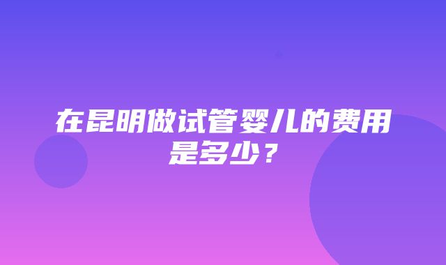 在昆明做试管婴儿的费用是多少？