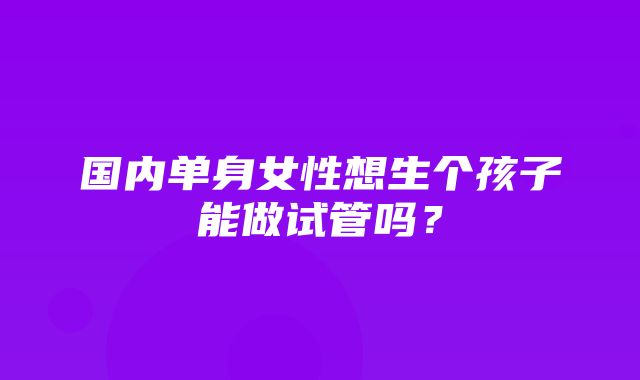 国内单身女性想生个孩子能做试管吗？