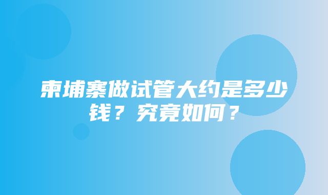 柬埔寨做试管大约是多少钱？究竟如何？