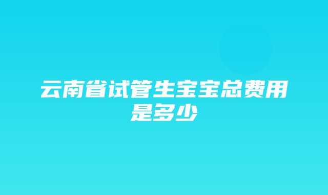 云南省试管生宝宝总费用是多少