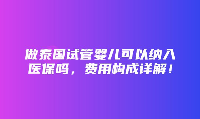 做泰国试管婴儿可以纳入医保吗，费用构成详解！