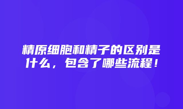 精原细胞和精子的区别是什么，包含了哪些流程！