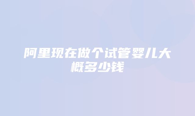 阿里现在做个试管婴儿大概多少钱