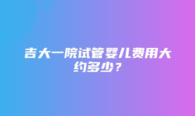 吉大一院试管婴儿费用大约多少？