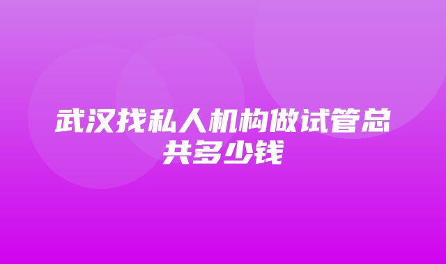 武汉找私人机构做试管总共多少钱