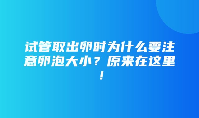 试管取出卵时为什么要注意卵泡大小？原来在这里！