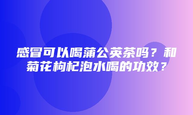 感冒可以喝蒲公英茶吗？和菊花枸杞泡水喝的功效？