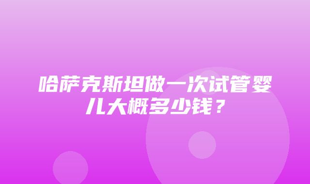 哈萨克斯坦做一次试管婴儿大概多少钱？