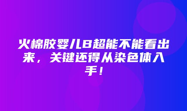 火棉胶婴儿B超能不能看出来，关键还得从染色体入手！