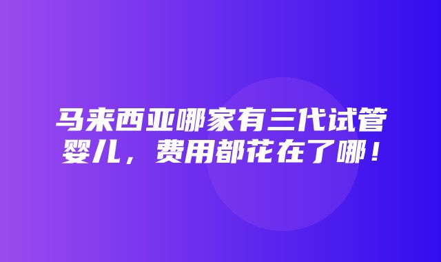 马来西亚哪家有三代试管婴儿，费用都花在了哪！