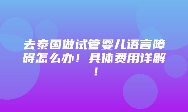 去泰国做试管婴儿语言障碍怎么办！具体费用详解！