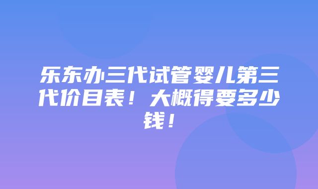 乐东办三代试管婴儿第三代价目表！大概得要多少钱！