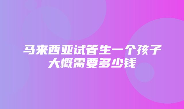 马来西亚试管生一个孩子大概需要多少钱