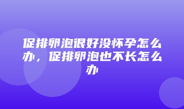 促排卵泡很好没怀孕怎么办，促排卵泡也不长怎么办