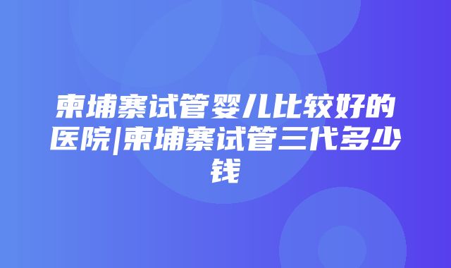 柬埔寨试管婴儿比较好的医院|柬埔寨试管三代多少钱