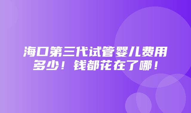 海口第三代试管婴儿费用多少！钱都花在了哪！