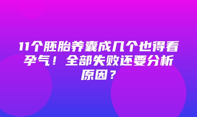 11个胚胎养囊成几个也得看孕气！全部失败还要分析原因？