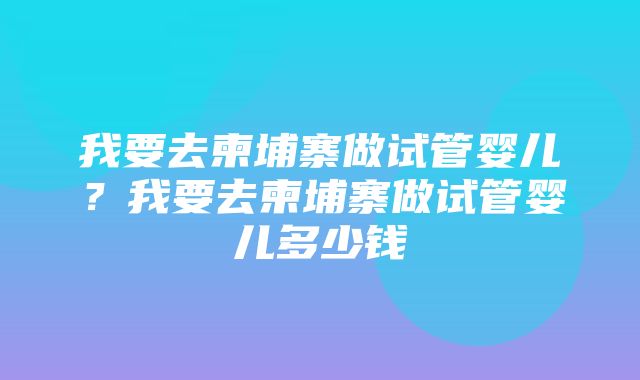 我要去柬埔寨做试管婴儿？我要去柬埔寨做试管婴儿多少钱