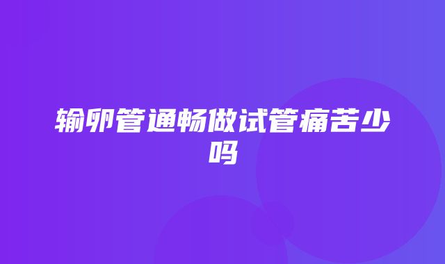 输卵管通畅做试管痛苦少吗