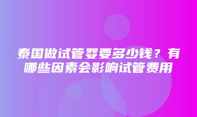 泰国做试管婴要多少钱？有哪些因素会影响试管费用