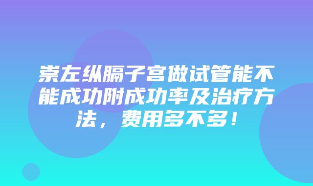 崇左纵膈子宫做试管能不能成功附成功率及治疗方法，费用多不多！