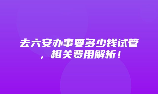 去六安办事要多少钱试管，相关费用解析！