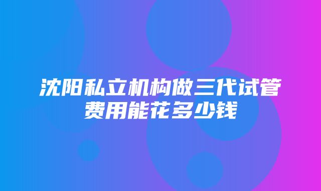 沈阳私立机构做三代试管费用能花多少钱