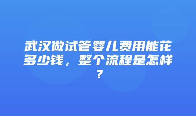 武汉做试管婴儿费用能花多少钱，整个流程是怎样？