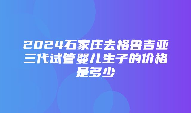 2024石家庄去格鲁吉亚三代试管婴儿生子的价格是多少