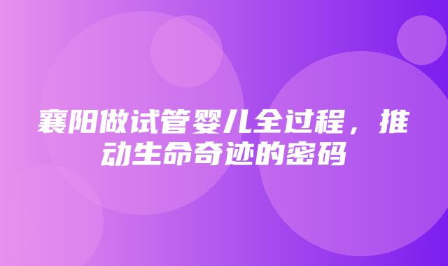 襄阳做试管婴儿全过程，推动生命奇迹的密码