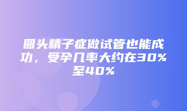 圆头精子症做试管也能成功，受孕几率大约在30%至40%