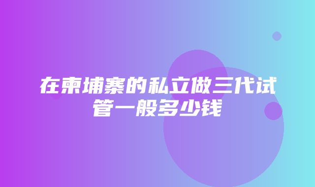 在柬埔寨的私立做三代试管一般多少钱