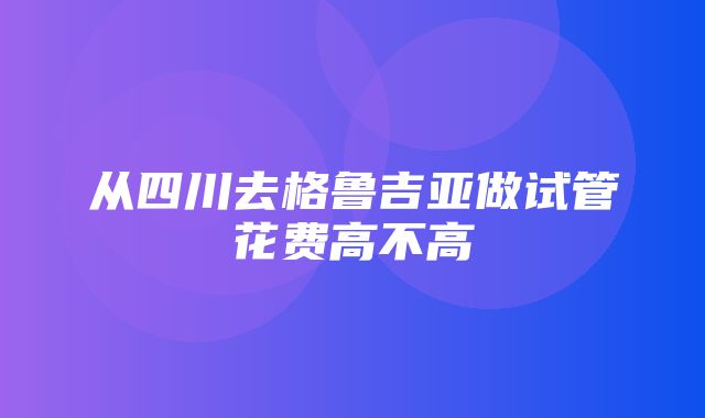 从四川去格鲁吉亚做试管花费高不高