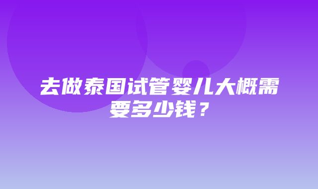 去做泰国试管婴儿大概需要多少钱？