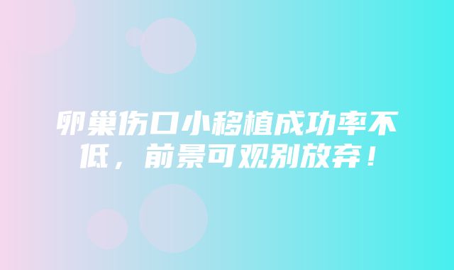 卵巢伤口小移植成功率不低，前景可观别放弃！