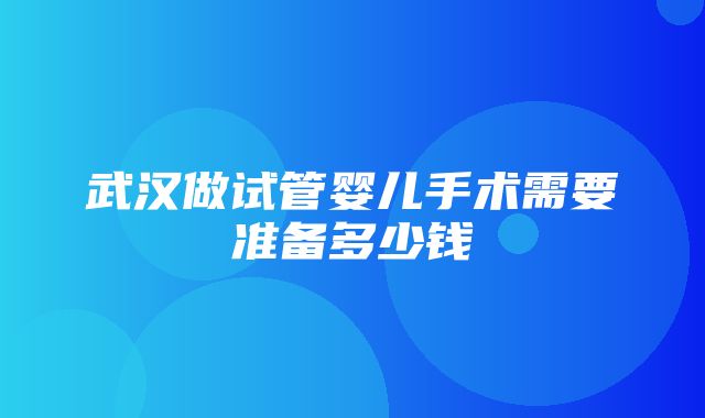 武汉做试管婴儿手术需要准备多少钱