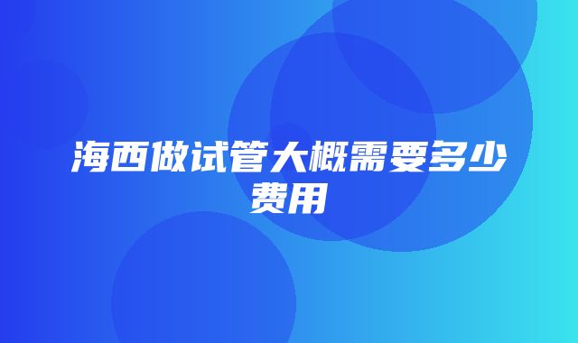 海西做试管大概需要多少费用